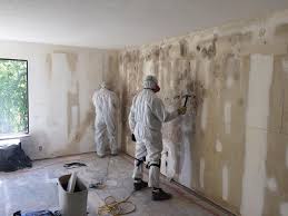 Best Emergency Mold Remediation  in North Massapequa, NY